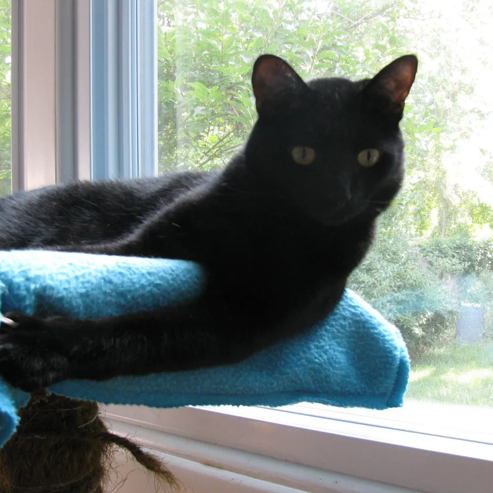 carolynpl.bsky.social's profile picture