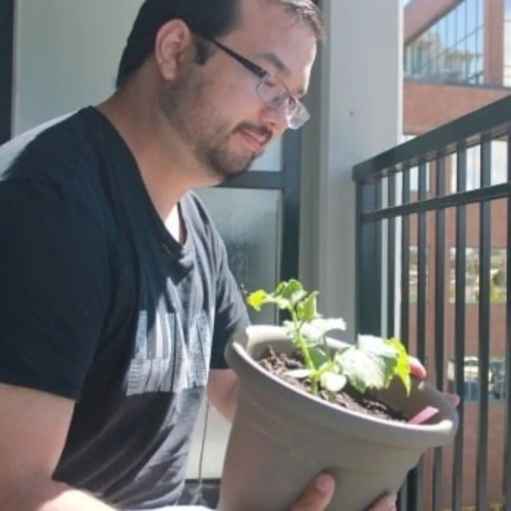 timfordwrites.bsky.social's profile picture