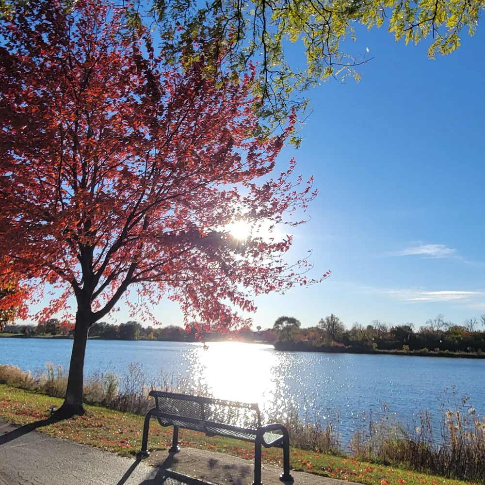 grammie1517.bsky.social's profile picture