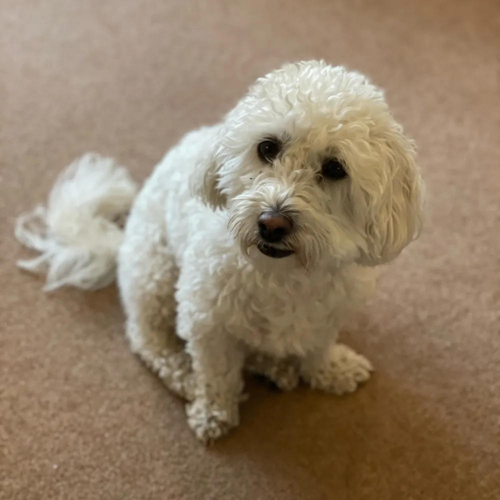 elmilligano.bsky.social's profile picture