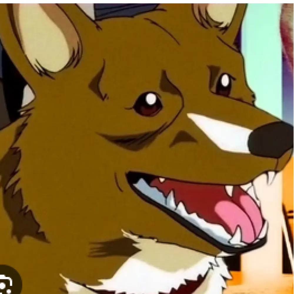 ghallium.bsky.social's profile picture