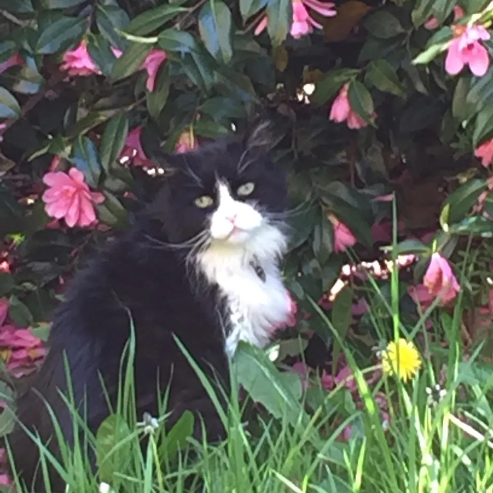 jonathancook.bsky.social's profile picture