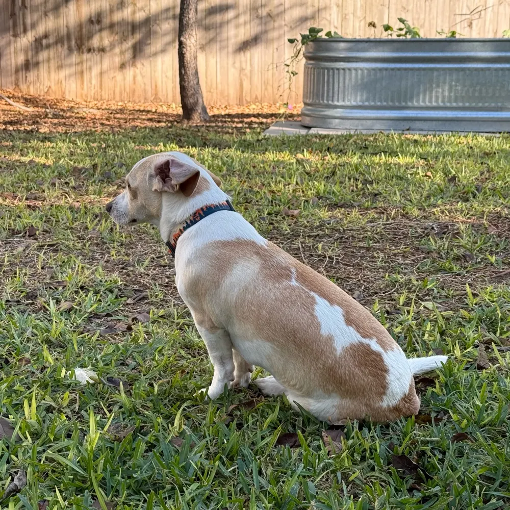 theverylargek.bsky.social's profile picture