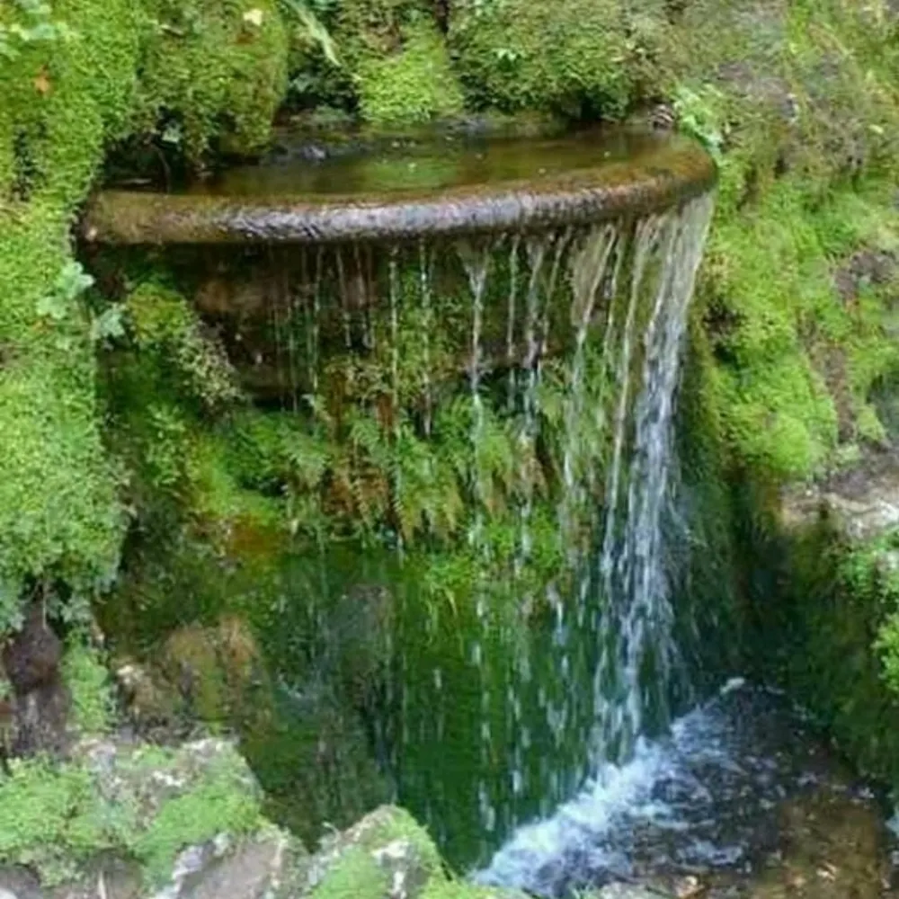 princessjane57.bsky.social's profile picture