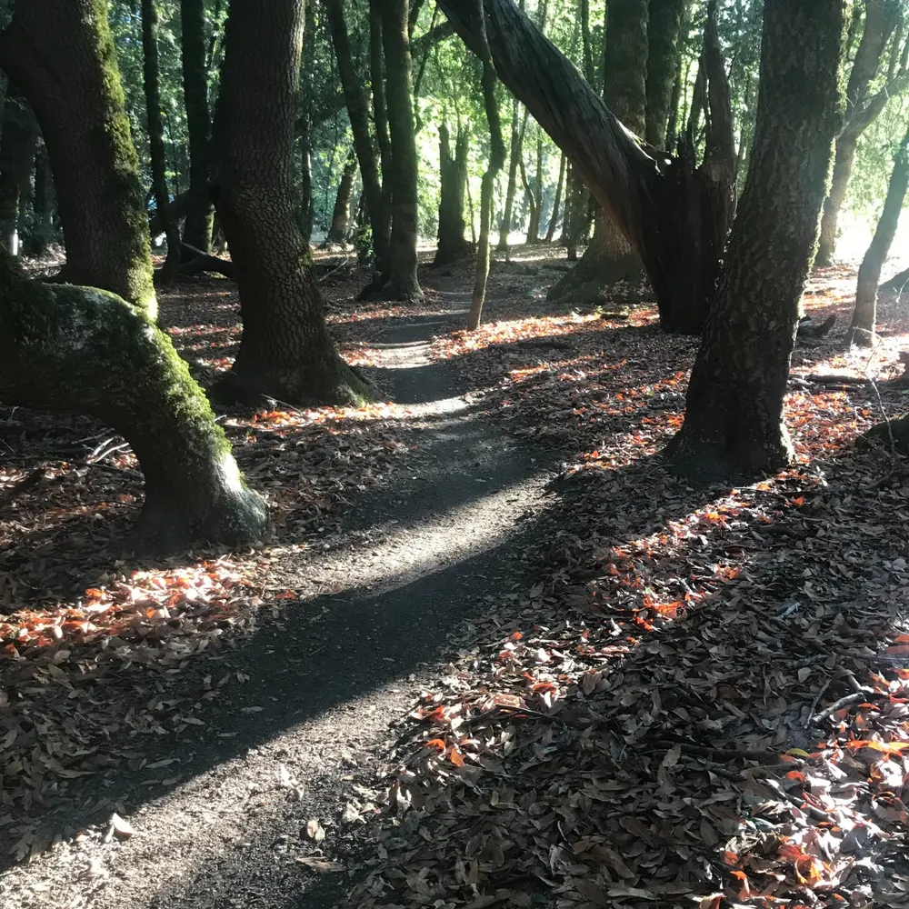 melba75.bsky.social's profile picture