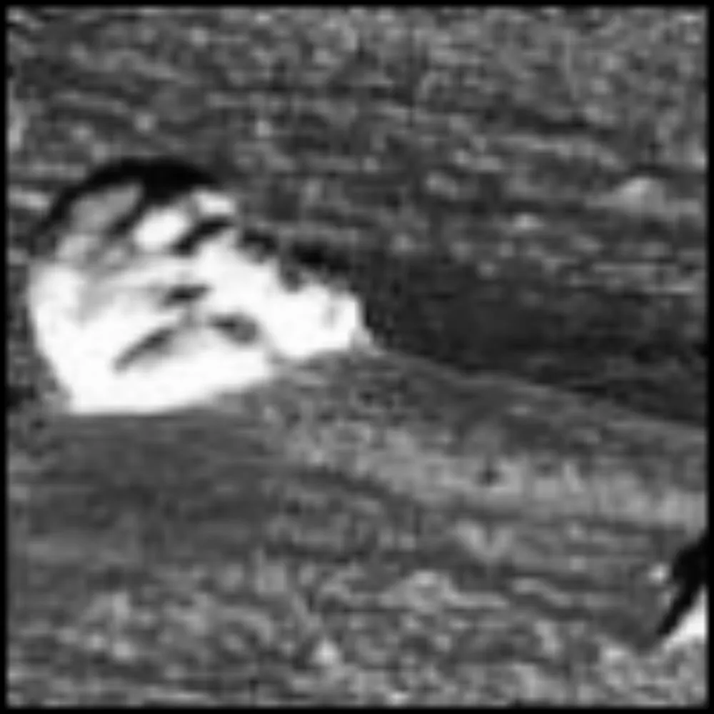 skullbearer.bsky.social's profile picture