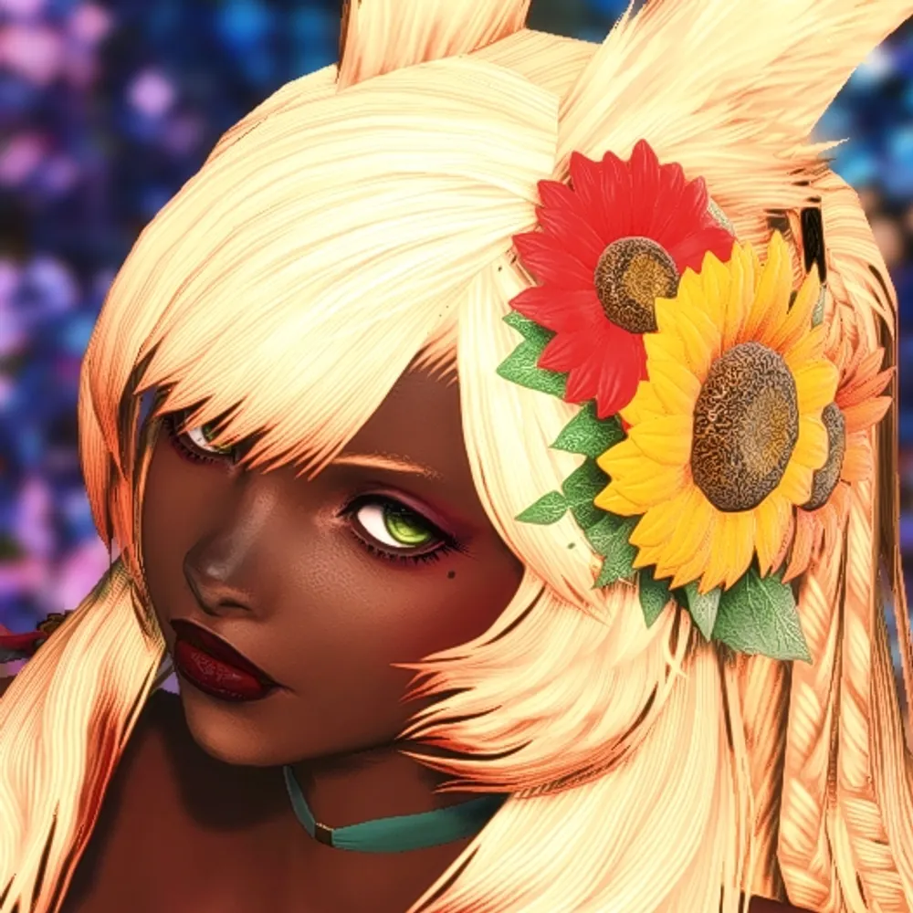 rallyeriel.etheirys.social's profile picture