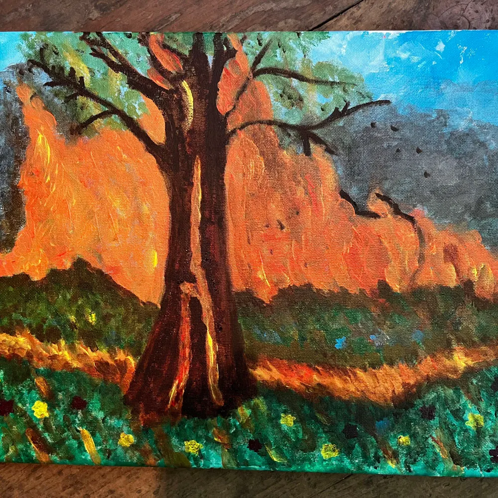 doreenellen.bsky.social's profile picture