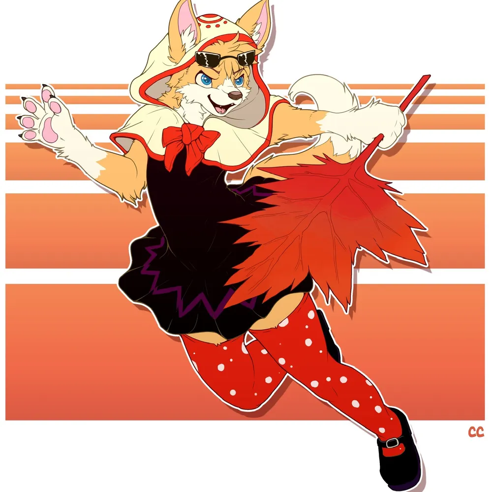 corgi4zn.bsky.social's profile picture