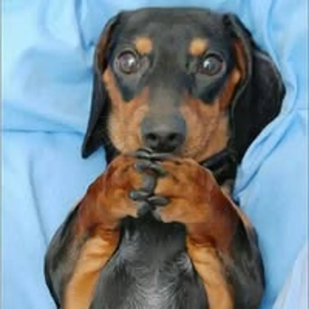 thomasbern.bsky.social's profile picture