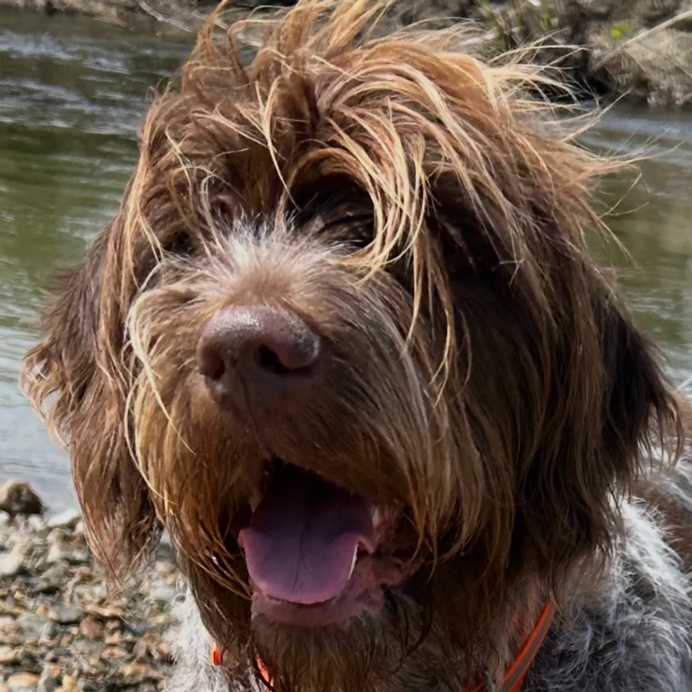 estherinthemiddle.bsky.social's profile picture