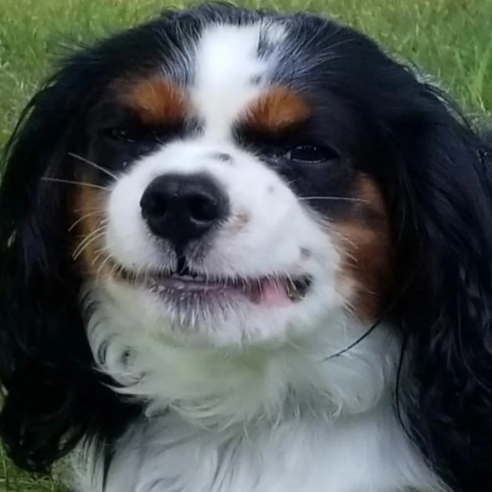 vaporbabe.filthandbugs.com's profile picture