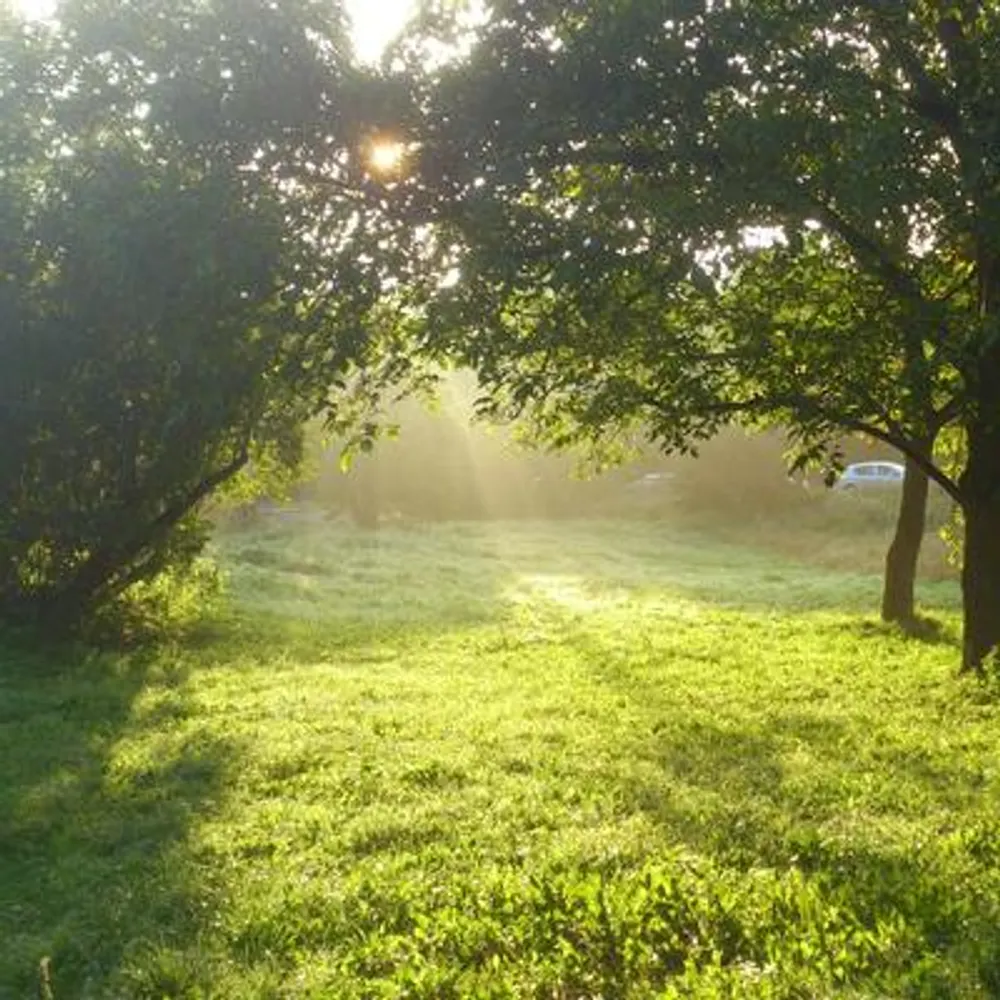 sennaasad.bsky.social's profile picture