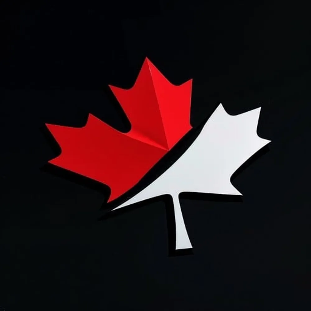 leechamberland.bsky.social's profile picture