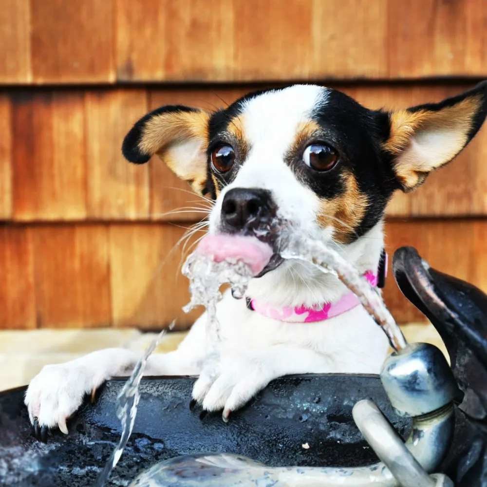 janeen123.bsky.social's profile picture