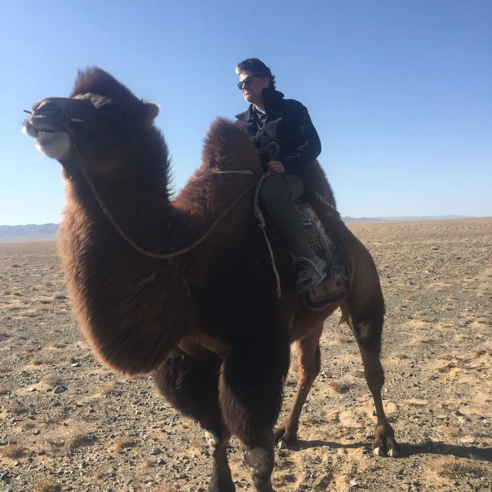 thedavejohnson.bsky.social's profile picture