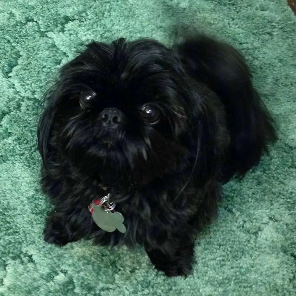 brendastratton.bsky.social's profile picture