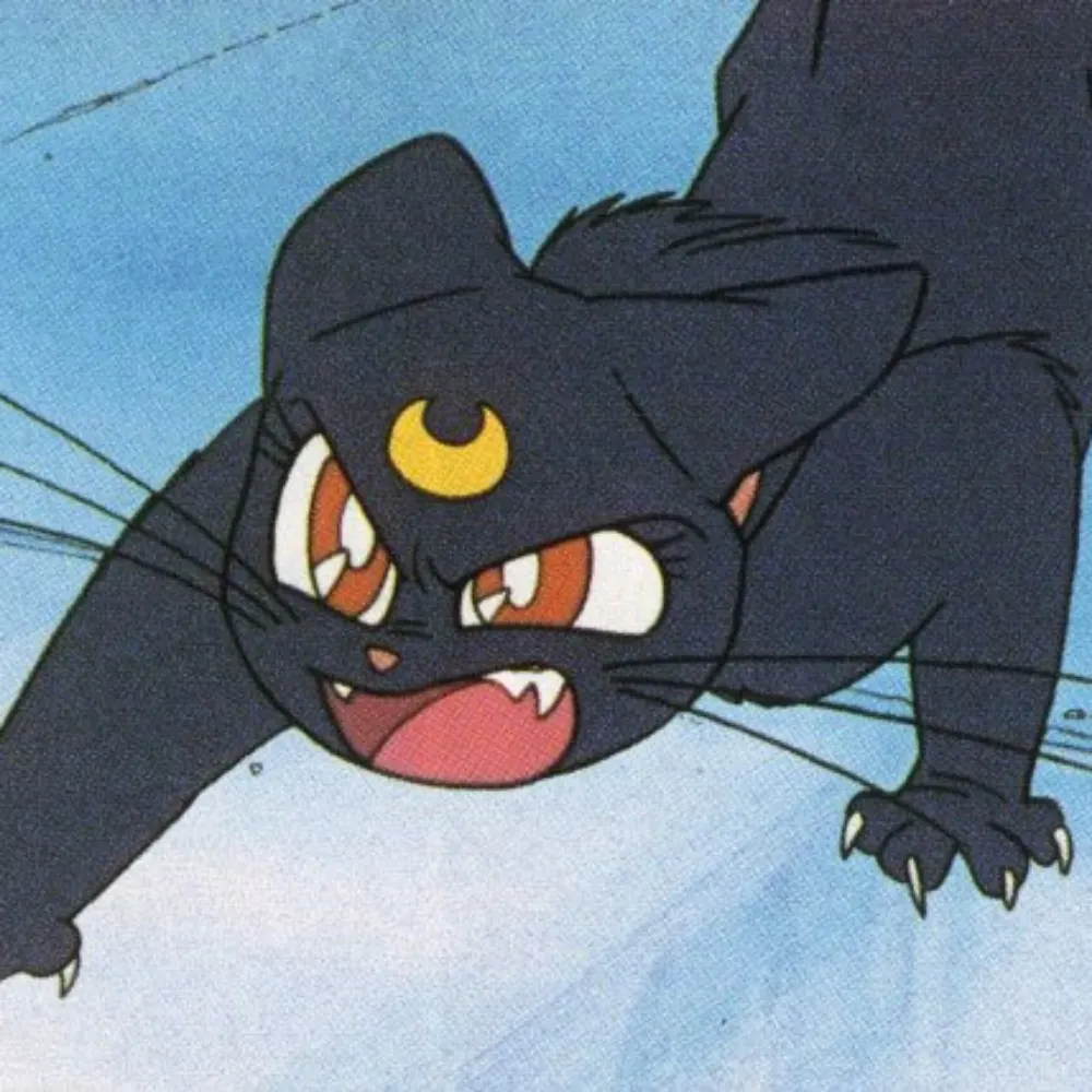 kat.meangirls.online's profile picture