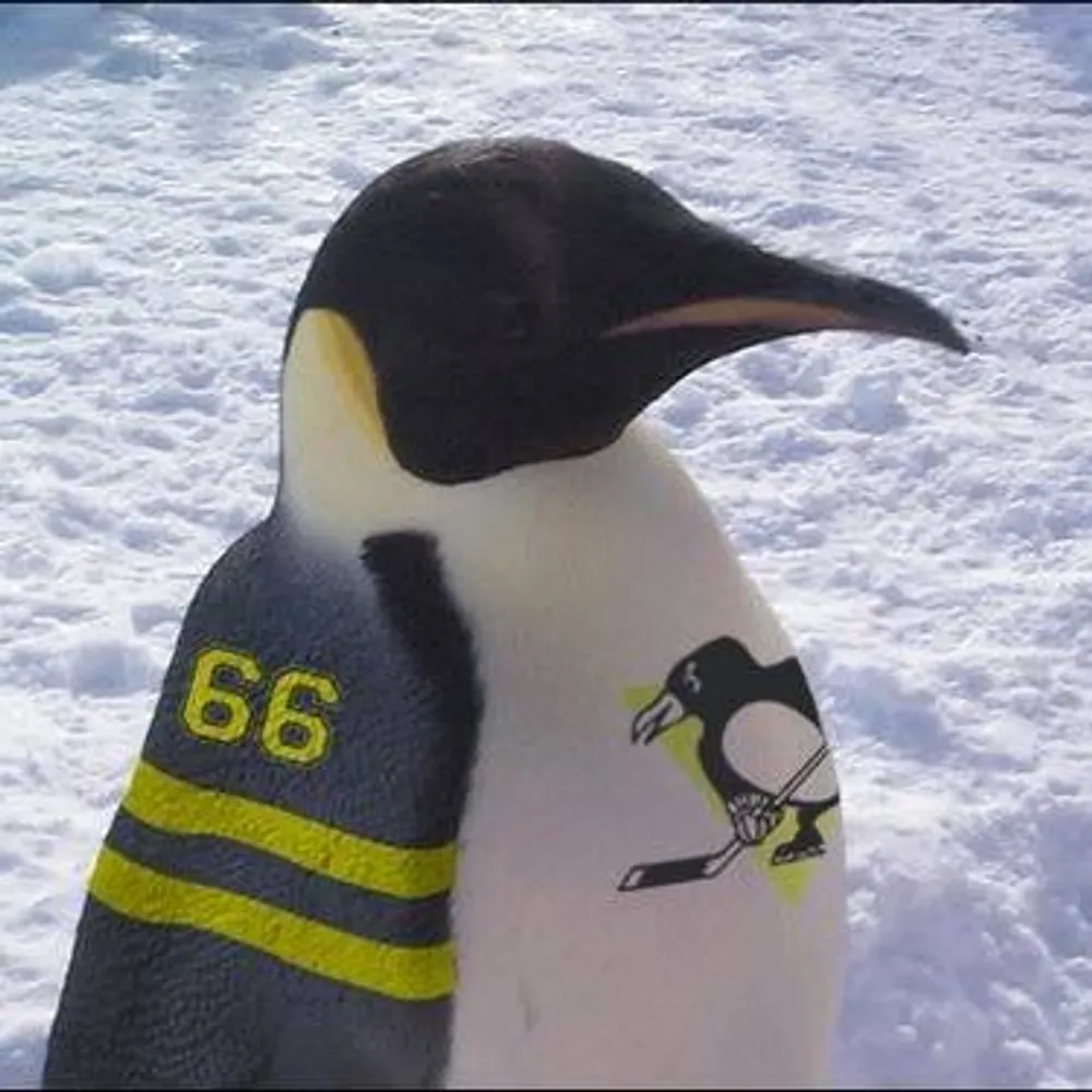 crazieone2750.bsky.social's profile picture