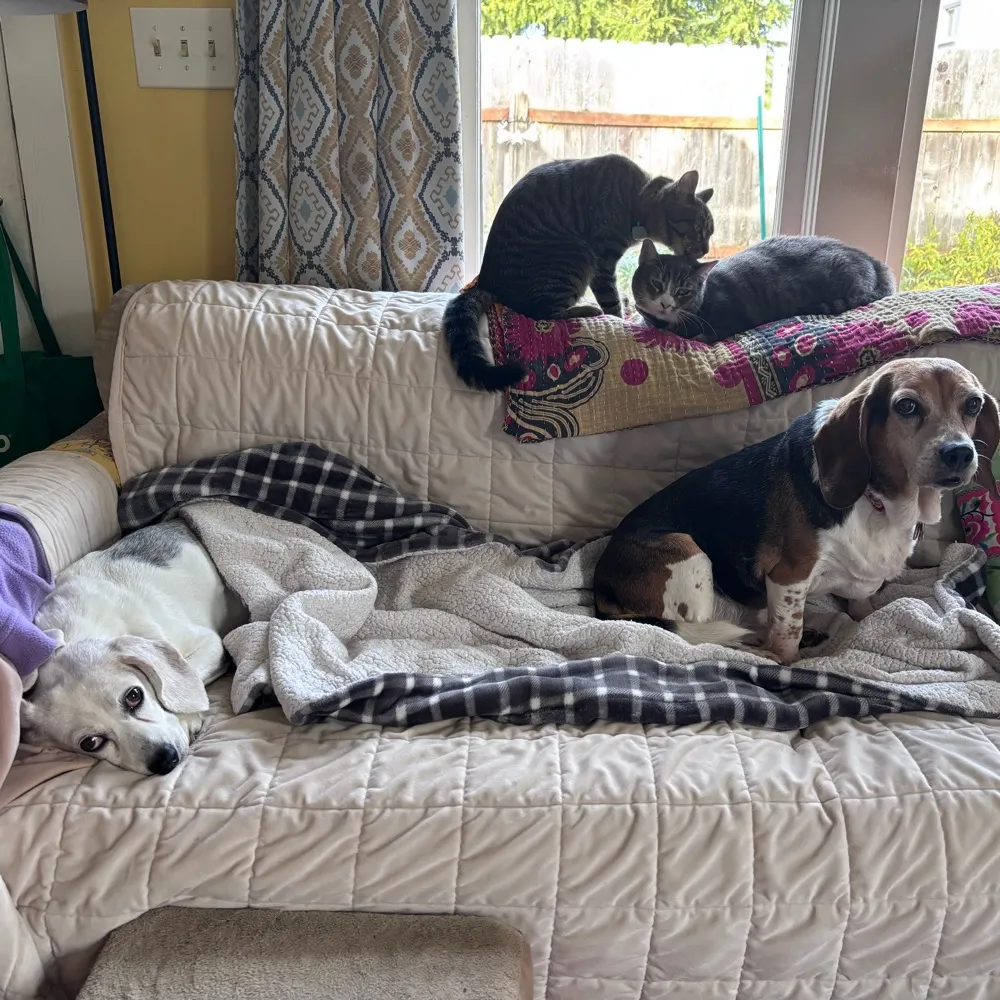 pnwmelissa.bsky.social's profile picture