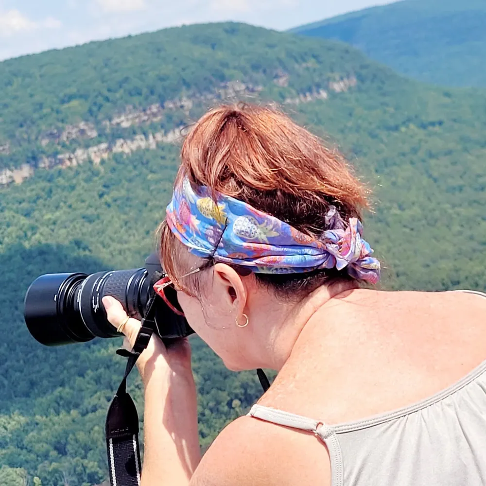 karenski1.bsky.social's profile picture