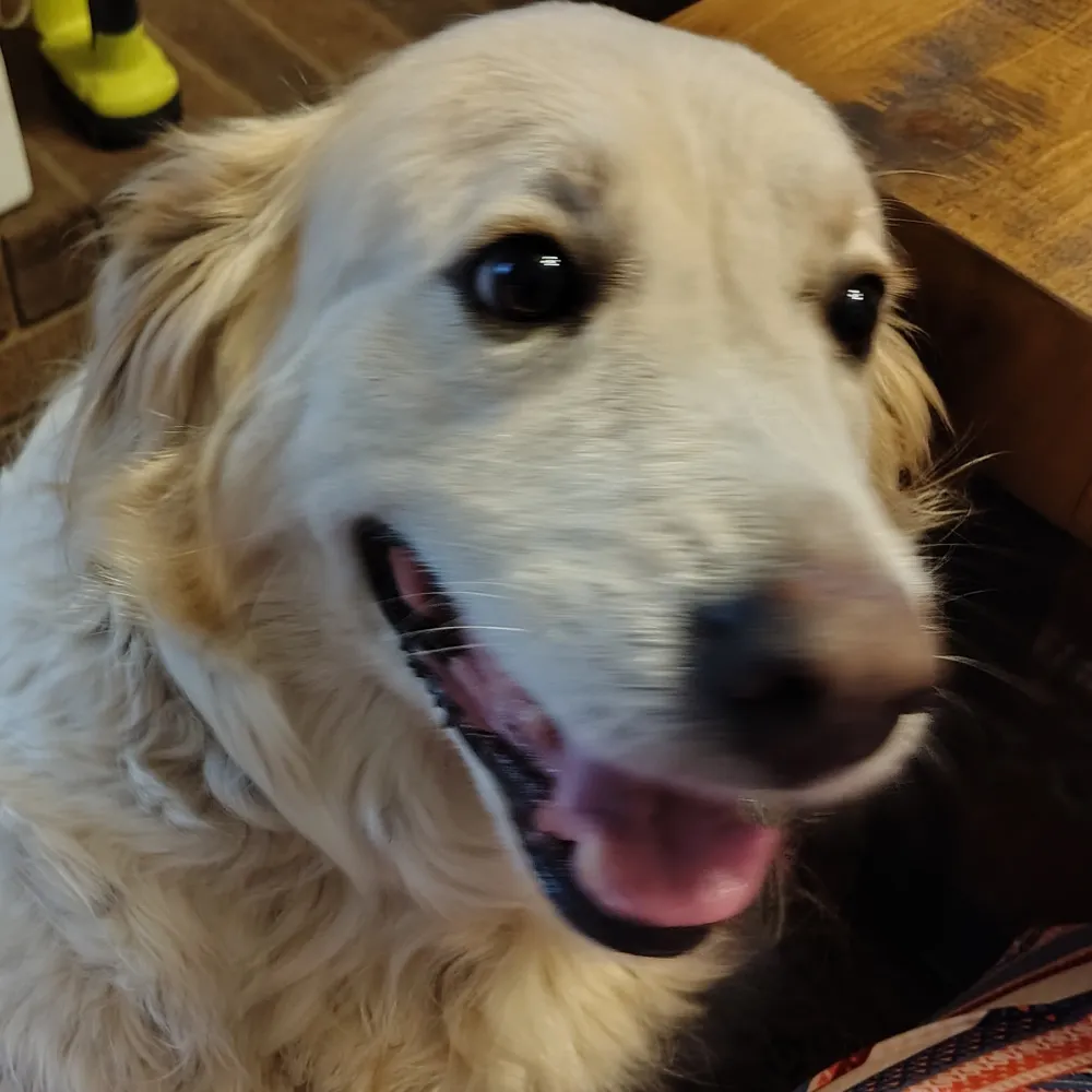 mme2306.bsky.social's profile picture