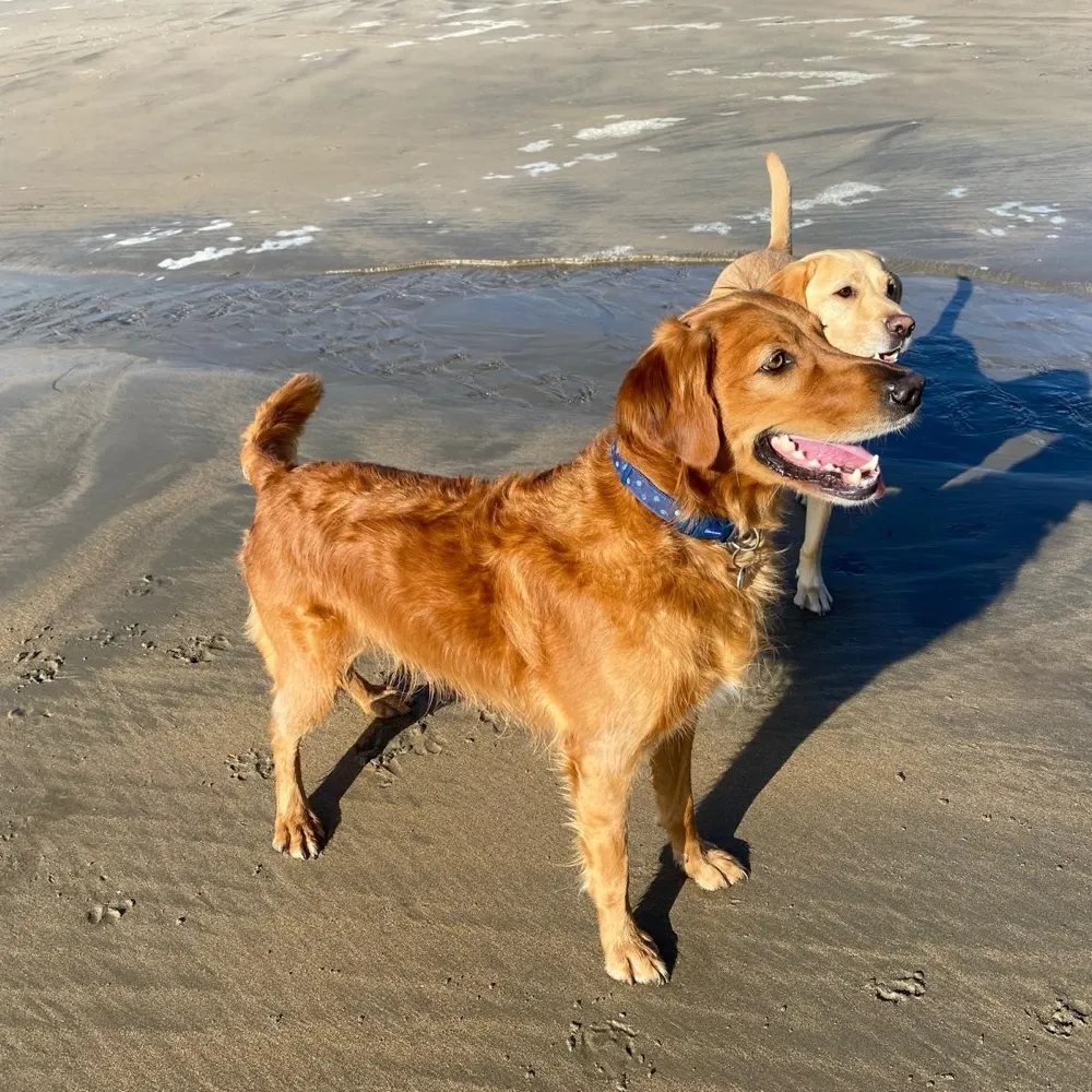 bbavel.bsky.social's profile picture