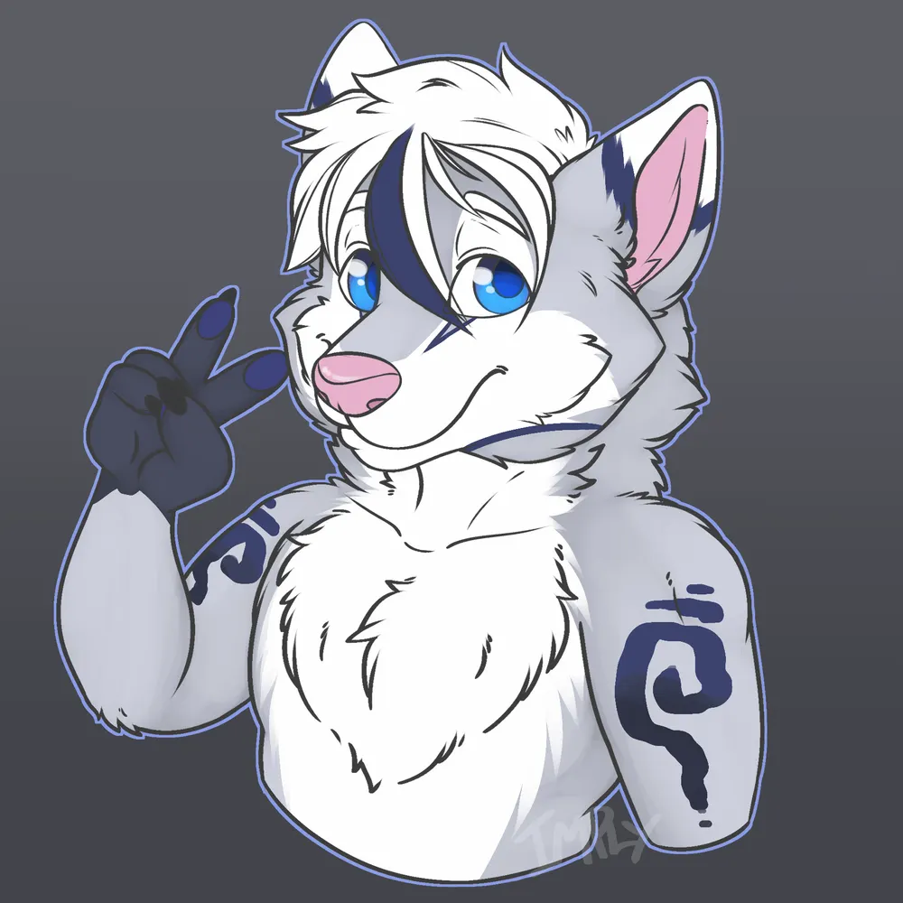 faolan01.bsky.social's profile picture