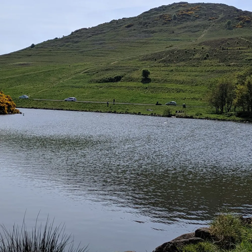 patblair.bsky.social's profile picture