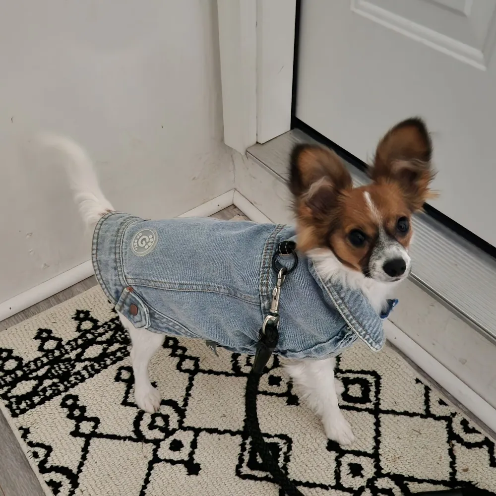 arletajames.bsky.social's profile picture