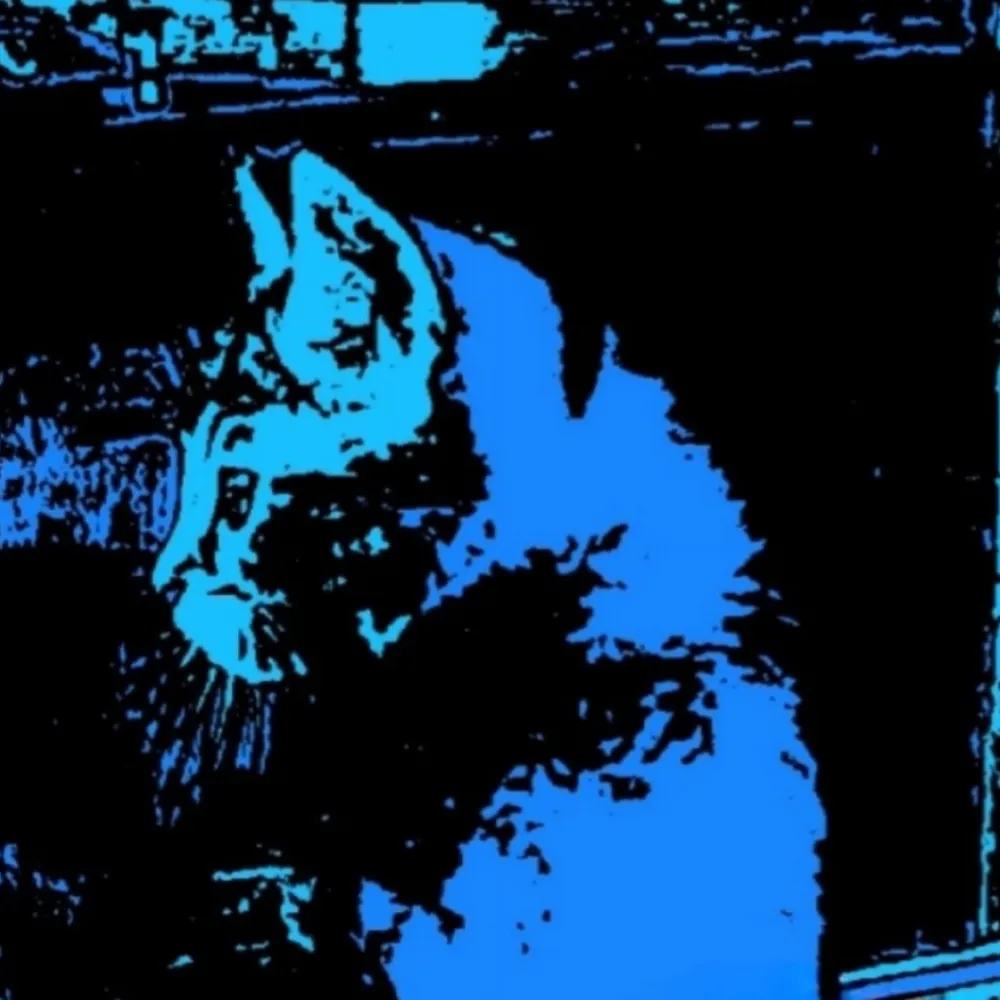 conicats.bsky.social's profile picture