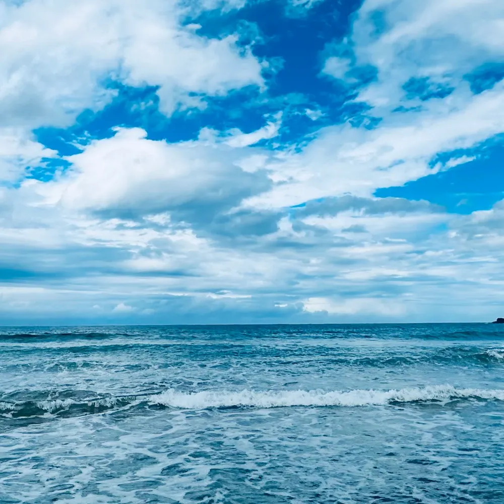 suns31.bsky.social's profile picture