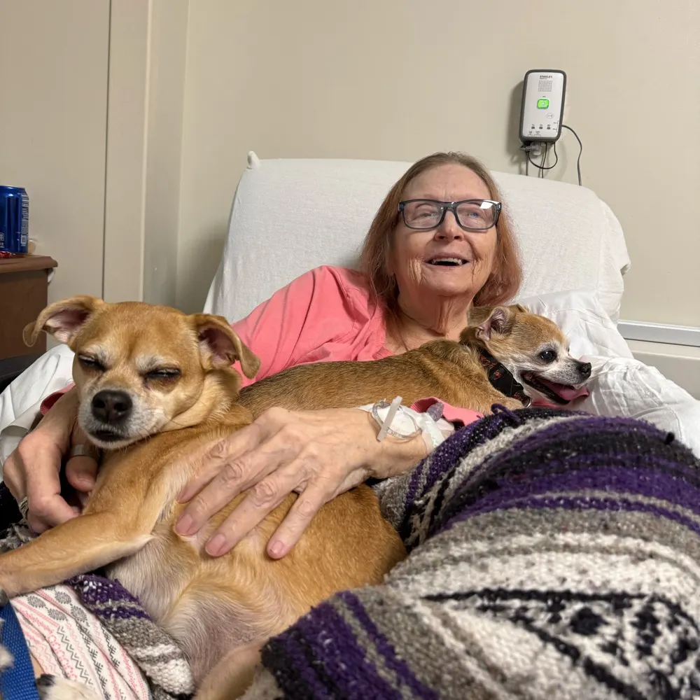 psychocybil.bsky.social's profile picture