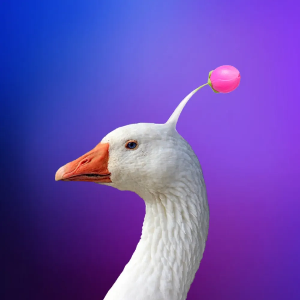 theaugoosetus.bsky.social's profile picture