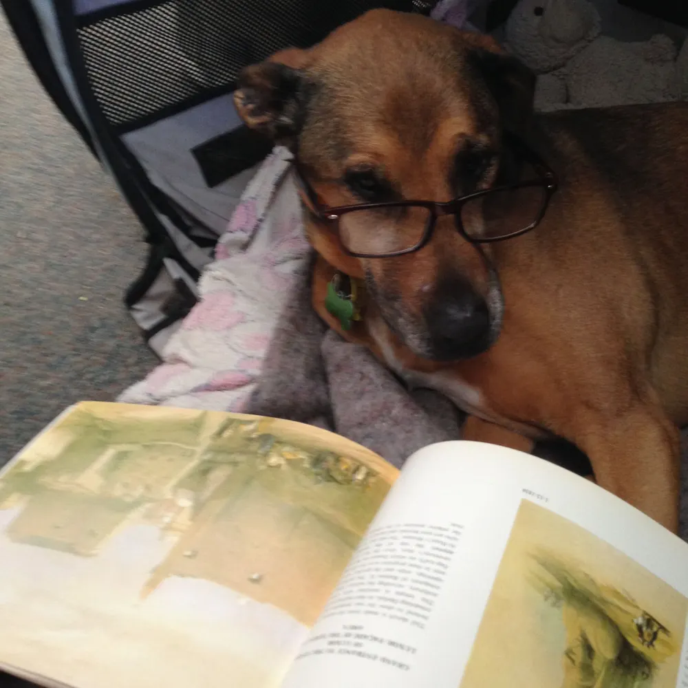 grumpyyetamusin.bsky.social's profile picture