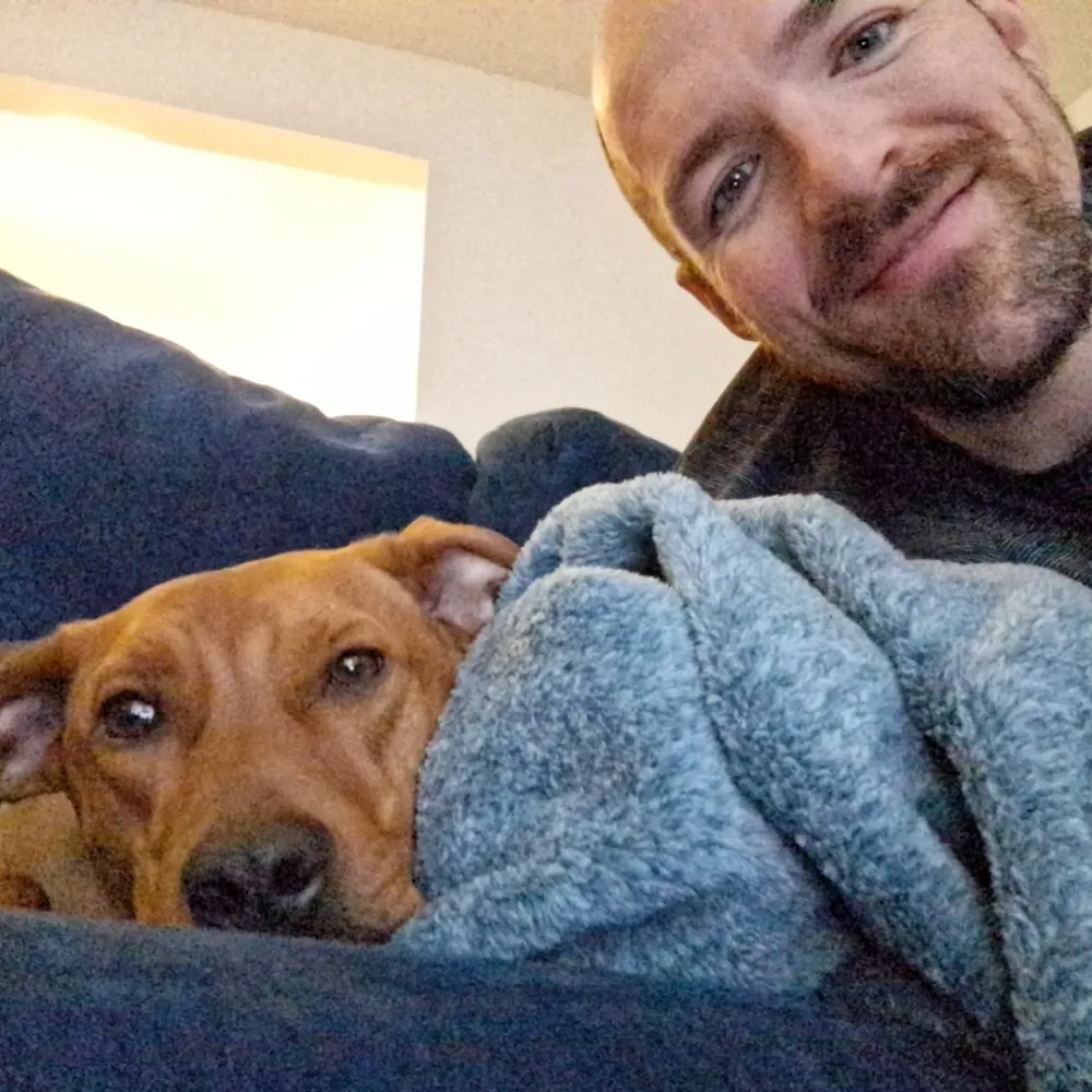 alex-hardy.bsky.social's profile picture