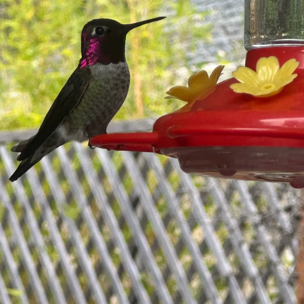 barb3.bsky.social's profile picture