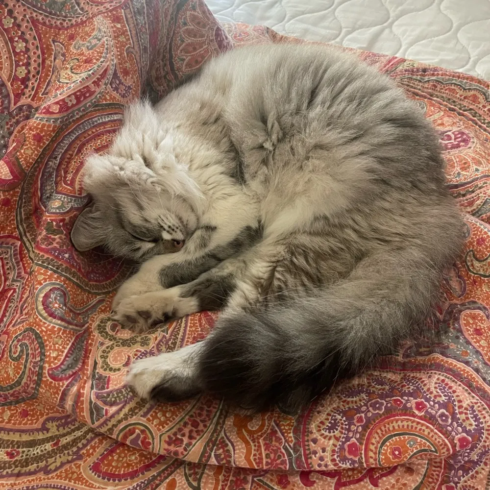 ajlcstout.bsky.social's profile picture