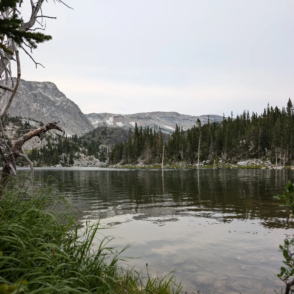 bfskinnerstan.bsky.social's profile picture