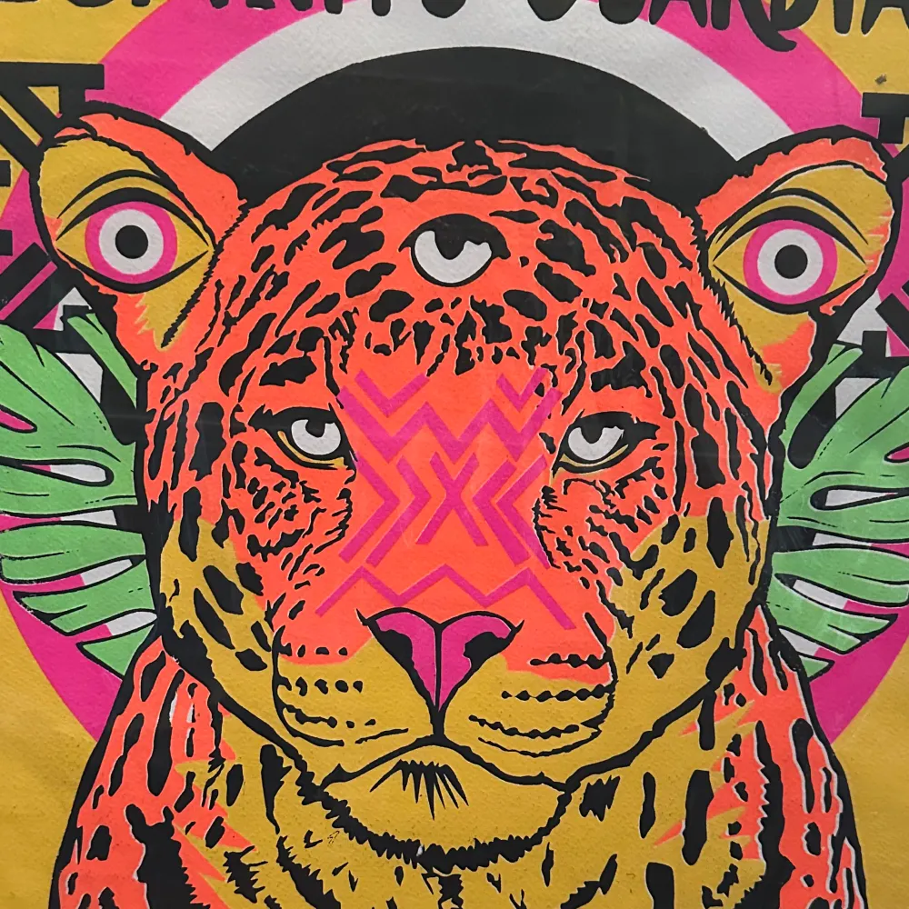 queviva.bsky.social's profile picture