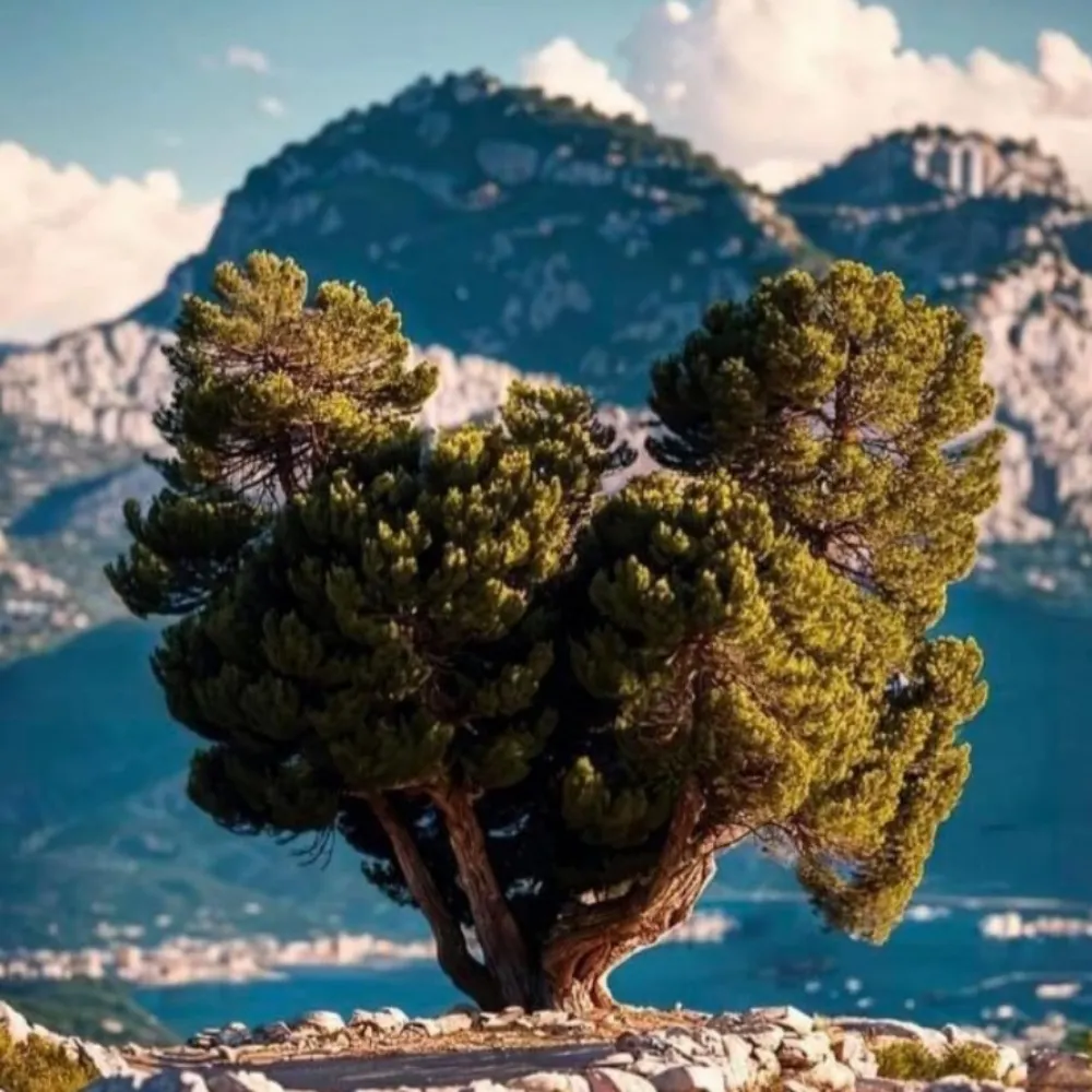 chrisgluf.bsky.social's profile picture