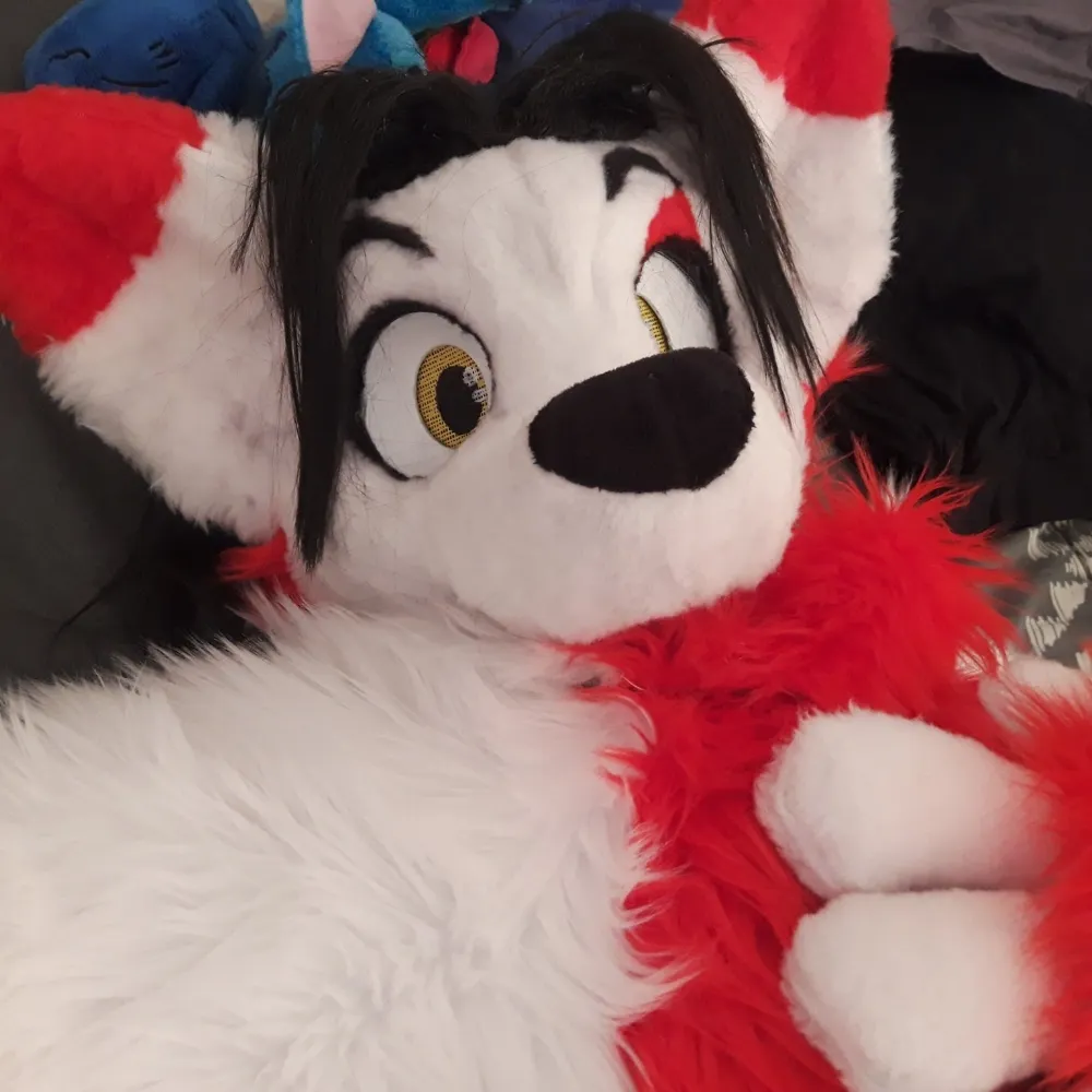 japolf.bsky.social's profile picture