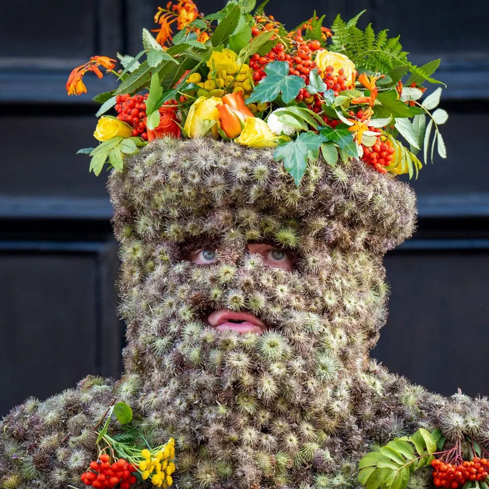 allhailmogambo.bsky.social's profile picture