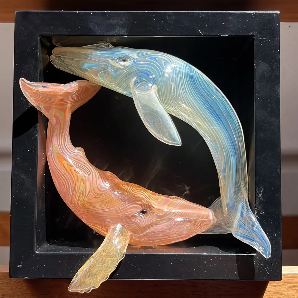 ziggypopdlh.bsky.social's profile picture