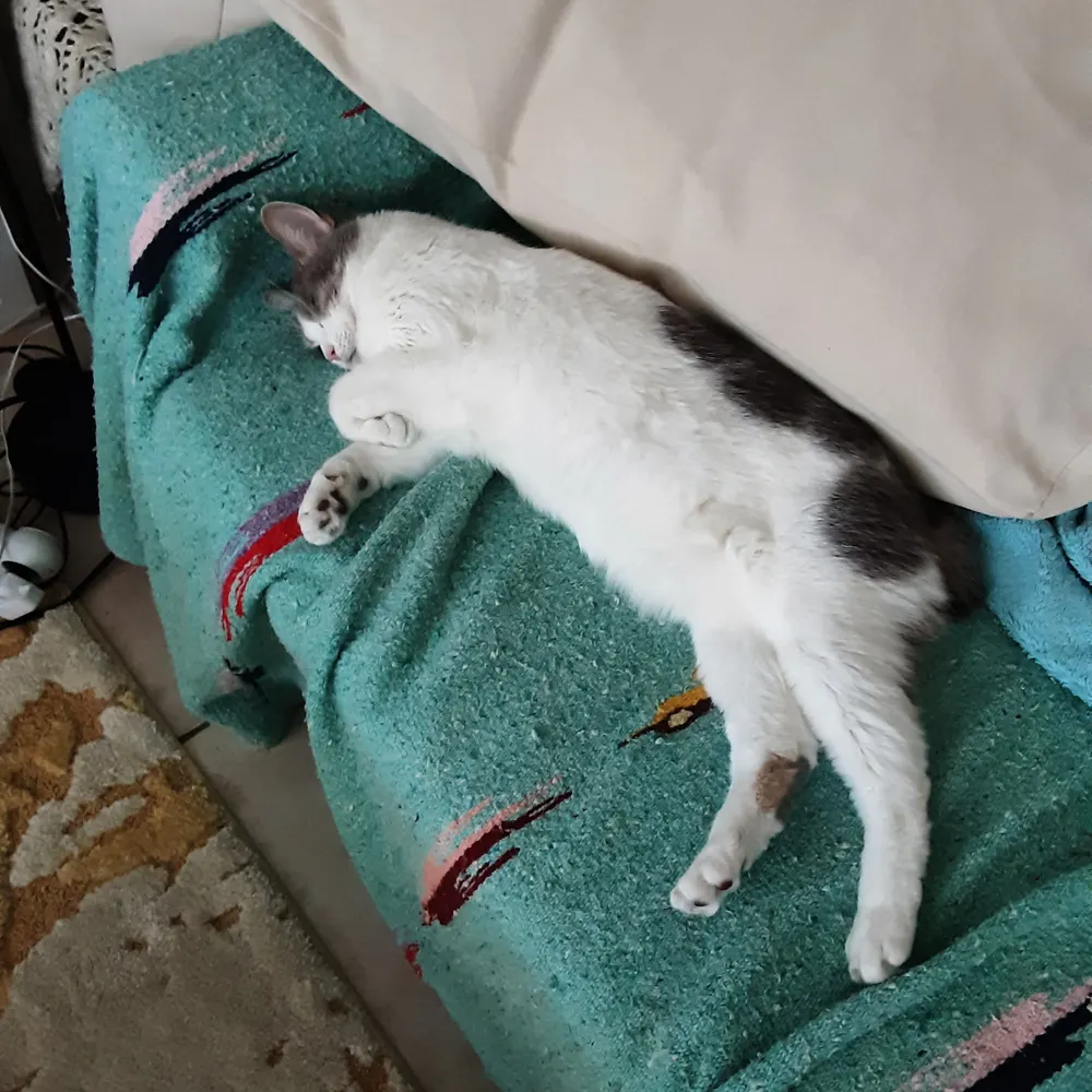 kdelran.bsky.social's profile picture