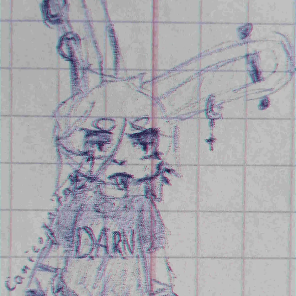 canicognito.bsky.social's profile picture