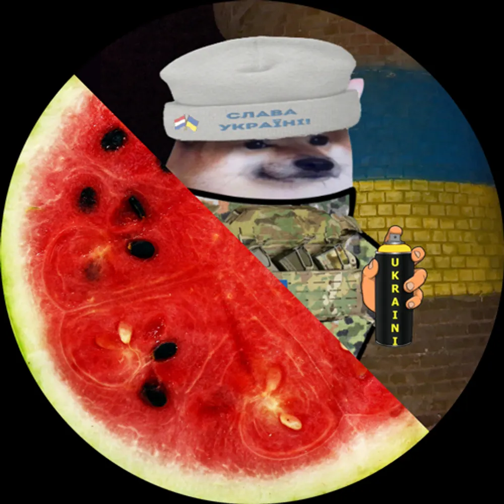 fella1337nl.bsky.social's profile picture