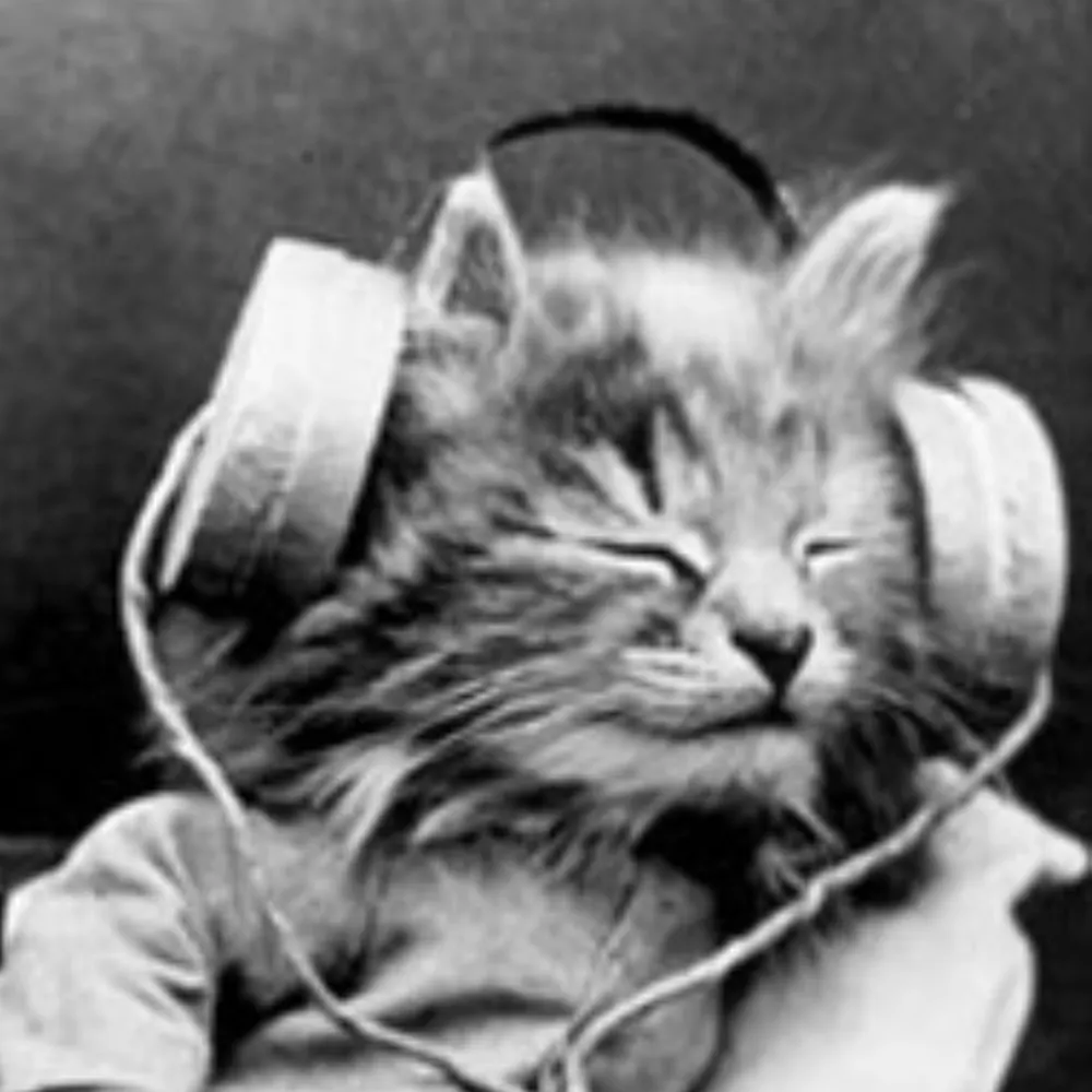 agreeableknievel.bsky.social's profile picture