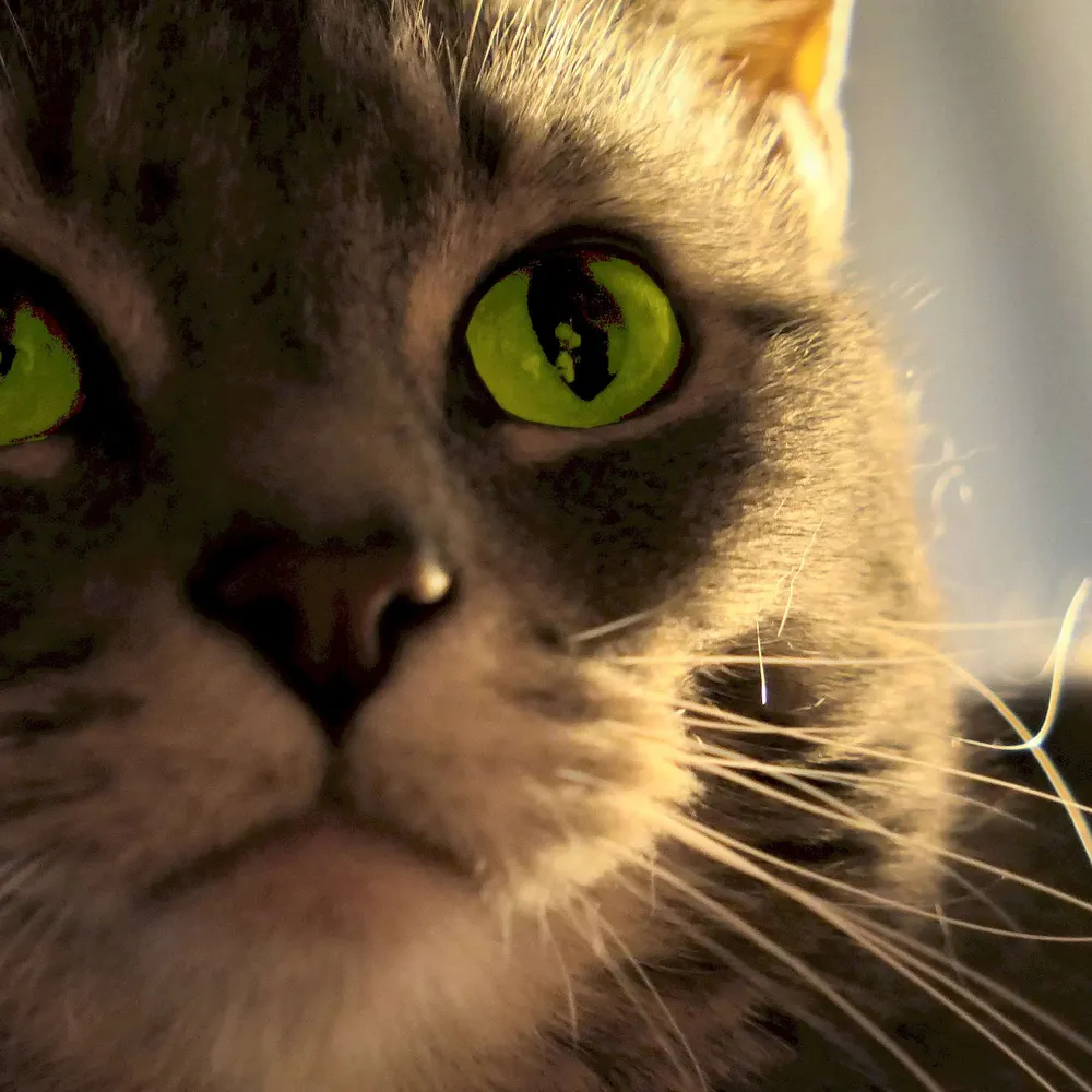 dawnzeel.bsky.social's profile picture