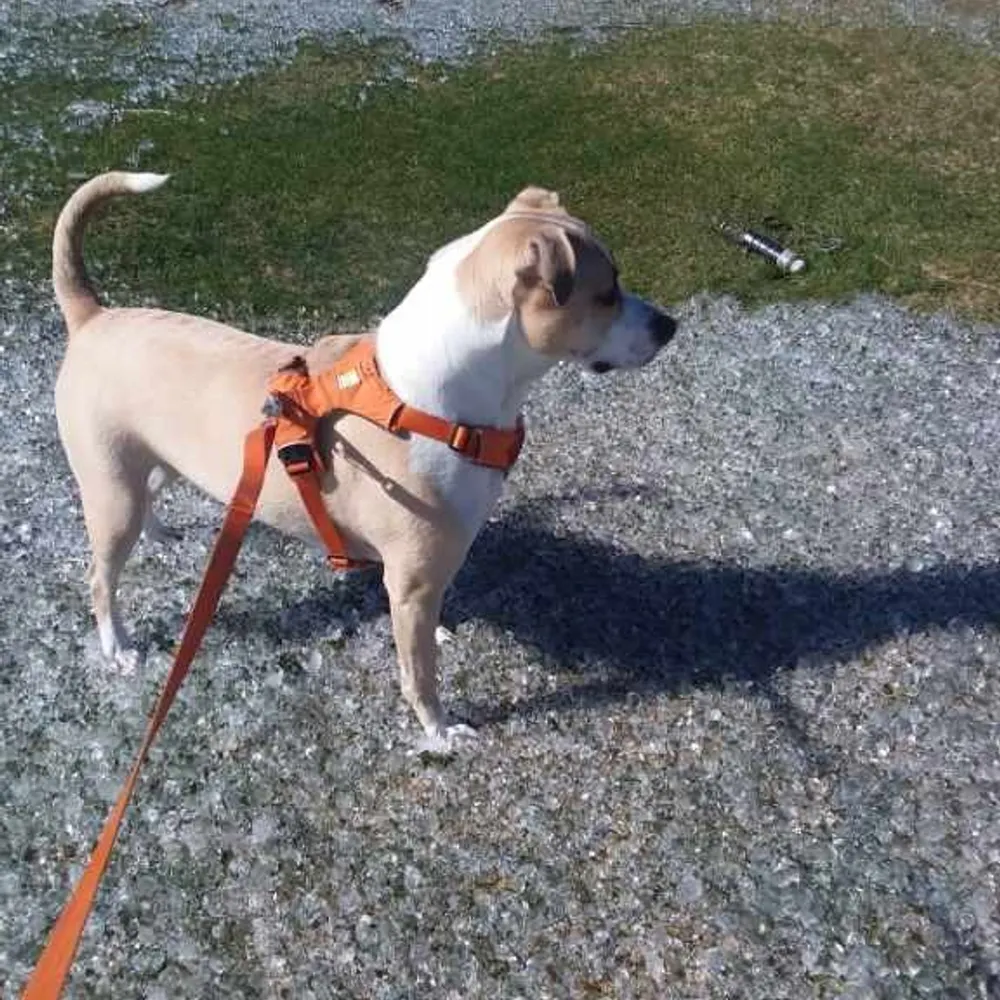 damo71.bsky.social's profile picture